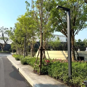 Ip66 Solar Led Street Light Building Elements Waterproof Parking Light Modern Landscape Outdoor Lights Manufacturer