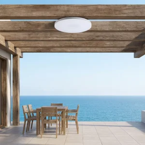 Iron Bottom Shell LED Ceiling Light 15W Diameter 260mm