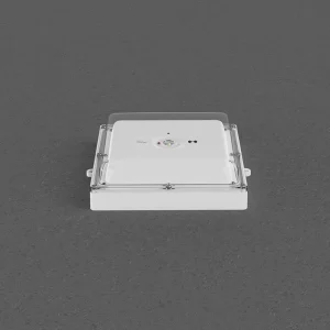 KINOELA Outdoor Emergency Light LED Spot for Ceilings IP65 3W 3H LiFePO4 Manual Test CE SAA AS2293
