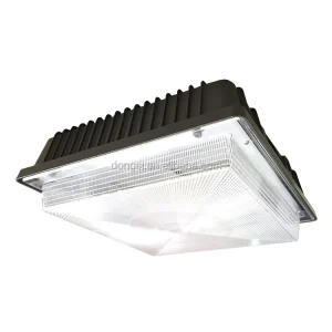 LED 100W Canopy and Parking Garage Lights