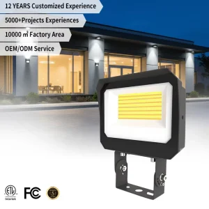 LED Aluminum IP65 SMD High Bright Waterproof Outdoor Wide Sensor CRI 80 160lm W LED Flood Light for Courtyard