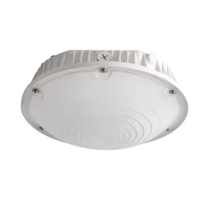 LED Canopy Light Outdoor Round Ceiling Light Garage Gas Station Light Waterproof