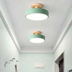 LED Ceiling Lights Modern Chandelier Ceiling Lamps Indoor Kitchen Lights Surface Mounted Living Room Bedroom Corridor Balcony