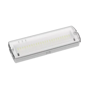 LED Emergency Bulkhead Light IP65 Waterproof Led Emergency Light with Annual and Monthly Inspection Functions