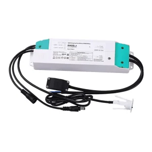 LED Emergency Driver Integrated 3W 5W 8W Panel Light 200-240Vac Input 10-55Vdc Output LiFePO4 Battery CE CB SAA Class II