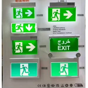 LED Emergency Light Bulkhead Factory OEM IP65 CE LED Emergency Light Bulkhead Luces De Emergencia Recargable