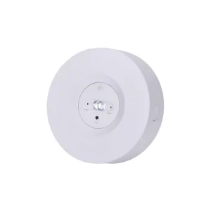 LED Emergency Lights 220V Indoor Surface Mount Fire Emergency LED Downlight 3W 3H Auto Test