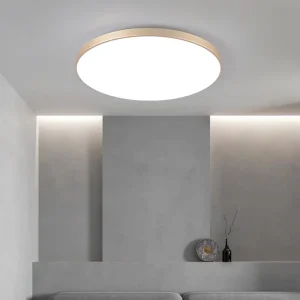 LED Energy Saving Modern Ultra Thin Dusty Proof AC220V 32W Daily White Light LED Ceiling Lights for Bedroom Dining Room