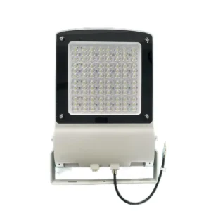 LED Floodlight Customizable Finish Color and Optics Project Lighting
