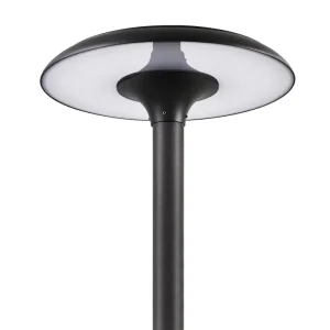 LED Post Top Area Light Die Cast Aluminum IP65 ETL CE RoHS Garden Parking Lot Commercial Project