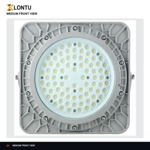 LONTU JM9118 Hazardous Location High Bay Light Flameproof WF2 Anti UV Coating Deep Fins for Plant Site