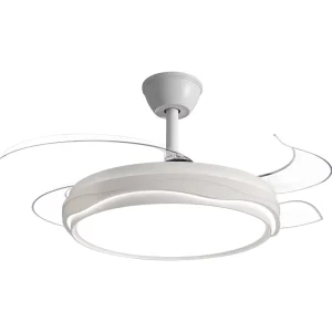 Light for Home and Restaurant Remote Control Dimmable Retractable Iron Chandelier 220V Minimalist Style LED Ceiling Fans