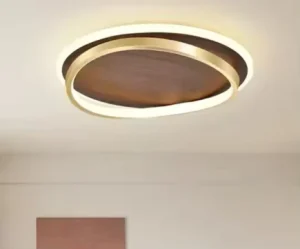 Living Dining Bedroom Study Iron Home Decor Lighting Fixture for Foyer Salon Aisle Hall Hotel LED Ceiling Lamps