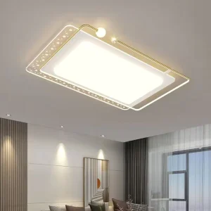 Living Room Bedroom Black Ceiling Lights Modern Chandelier LED Ceiling Light