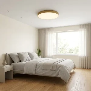 Low Moq Product 3000K-6500K PC 32W 48W AC 100-265V Decorative Ceiling Lamp Luxury Dimmable Led Ceiling Light