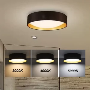 Macaron Luxury Hall Lighting Lamp Fixtures Overhead Mount Modern LED Ceiling Lights for Home Bedroom Kitchen