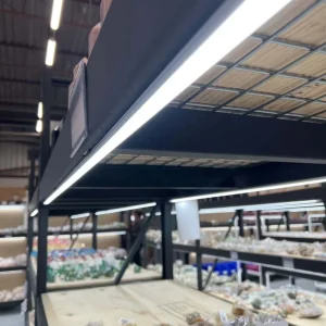 Magnetic LED Light Bar Supermarket Shelf Display Lighting System Custom Length for Retail Display Fixture