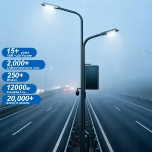 Manufacturer Custom Smart City LED Street Lighting Pole with CCTV IP65 Waterproof AC Powered Hot-dip Galvanized Q235 Steel