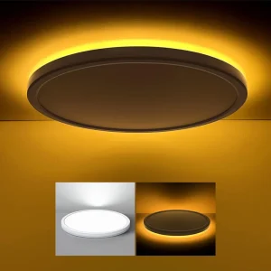 Modern 12 Inch 29cm LED Flush Mount Ceiling Light Fixture with Night Light 24W Remote Control Dimmable Cold White Bedroom