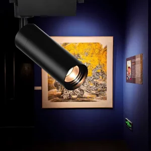 Modern 9W Dimmable Zoom LED Magnetic Track Spotlight Multi Temperature CRI 95 Aluminum Body COB 4 Wire Indoor