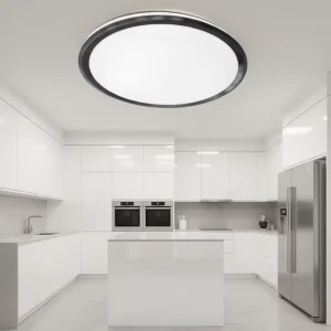 Modern AC Iron LED Ceiling Light with Remote Control Surface Mounted for Home Living Room