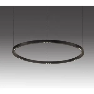 Modern Accent Ring Shape and Optical LED Spot Module Circular Linear Pendant Light Architectural Lighting