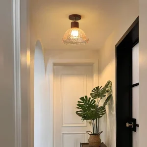 Modern Acrylic LED Suspended Ceiling Light for Living Room Hallway Entryway Balcony Bedroom and Cloakroom