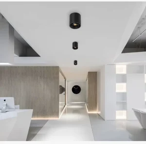 Modern Anti Anti Glare COB LED Flood Light Ceiling Downlight 5W 7W 9W 12W Dimming for Home Hotel Aluminum Lamp Indoor Use Only