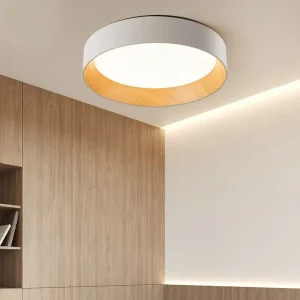 Modern Bedroom Ceiling Light Decorative Living Room Circular LED Acrylic Ceiling Light