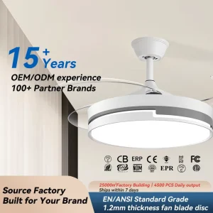 Modern Bedroom Luxury DC Motor LED Ceiling Fan Light with Remote Control 6-Speed Iron & Plastic Construction