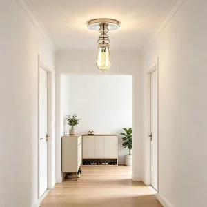 Modern Brass Surface Mounted Ceiling Light Exposed Bulb Ceiling Lamp for Home Bedroom Bathroom Hallway Kitchen Decor