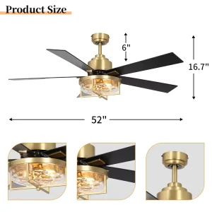 Modern Ceiling Fan Light