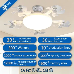 Modern Ceiling Fan with DC AC Motor Remote Control LED Lighting 3 Speed Low Noise Layout Compatible