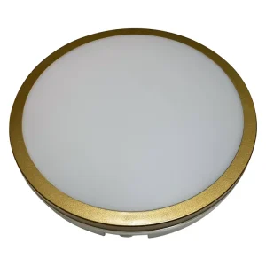 Modern Ceiling Light IP65 30W Round LED Ceiling Light Color Changeable Ceiling Light