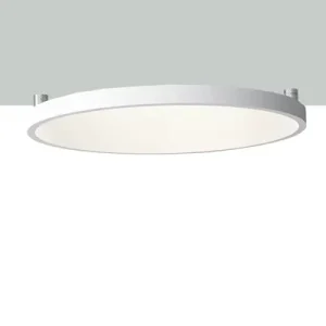 Modern Design High Quality Ceiling Lights Interior LED Sensor Light Hotel Chandeliers E802U