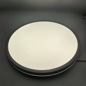 Modern Design Round LED Ceiling Lamp High Quality Fashion Style for Bedroom Home Lighting Plastic Base AC Power Mini Sizes