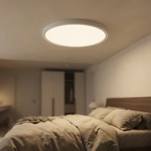 Modern Design Round Switch Control Smart Home Lighting Living Room Bedroom Surface Mounted Led Ceiling Light