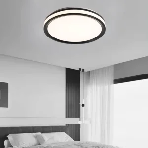 Modern Design Stylish Led Iron Acrylic Ceiling Lamp 5CCT Dimming 24w 36w Led Ceiling Light for Bedroom Living Room