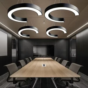 Modern Hanging Lamp Large Curve Linear Light Circular Oval Ceiling Semicircle Pendant Light Circle LED Modern Chandelier