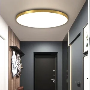 Modern IP54 Waterproof 18W LED Ceiling Lights Tri proof Surface Mount for Balcony Corridor Kitchen Adjustable Color Temp