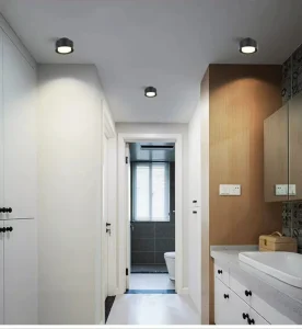 Modern Indoor Ceiling Lights 6W Home Hotel Room Decor Aluminum Led Surface Down Light