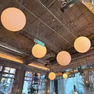 Modern Indoor Living Room Ceiling Lighting Outdoor Garden Restaurant LED Hanging Pendant Chandelier Ball Globe Light Lamp