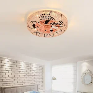 Modern Iron ABS Caged Remote Control LED Ceiling Fans with Light for Bedroom Living Room & Dining Room 220V