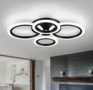 Modern LED Ceiling Lamp Ceiling Light Remote Control Living Room Bedroom Kitchen Household Ceiling Chandelier