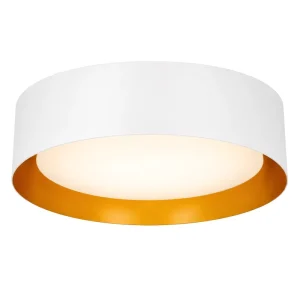 Modern LED Ceiling Light CCT Changeable ETL cETL Certified Living Room Bedroom CRI 80 Steel Plastic Construction