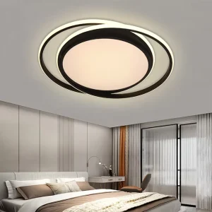 Modern LED Ceiling Light for Living Room Creative Personality Hotelliving Simple Design Acrylic Cover Switch for Study Bedroom