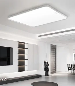 Modern LED Ceiling Lights 36W 48W 160W 3000K 4000K 5700K Iron Base Ceiling Light