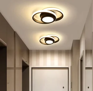 Modern LED Chandelier Ceiling Light for Living Room Bedroom Corridor Indoor Ceiling Lights Cloakroom Decorative Ceiling Lamp