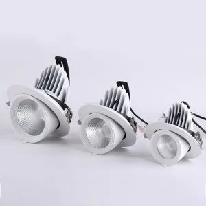 Modern LED Elephant Trunk Spotlight 24W Deep Anti Glare Recessed Ceiling Light High CRI 90+ Downlight