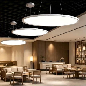 Modern LED Linear Hanging Lamp Black Circle Chandelier Ring Pendant White Metal Shade Remote Control Dimmable 60W 3000K 6000K